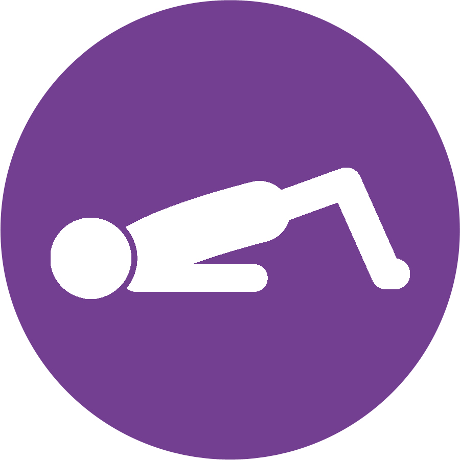 iconp3-1