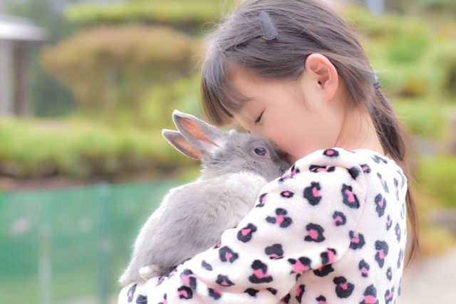 うさぎを抱っこする女の子