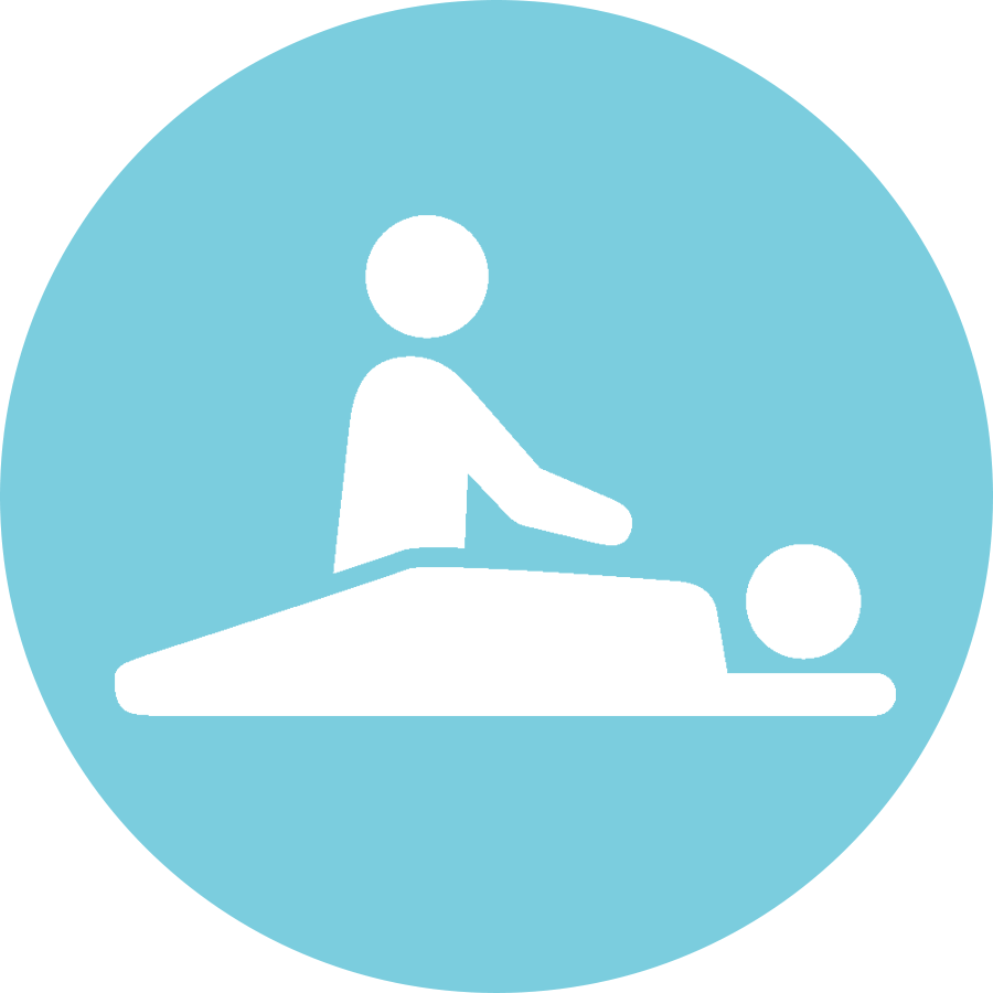icon-seitai