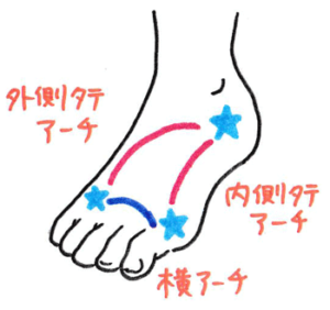 足のアーチのイラスト